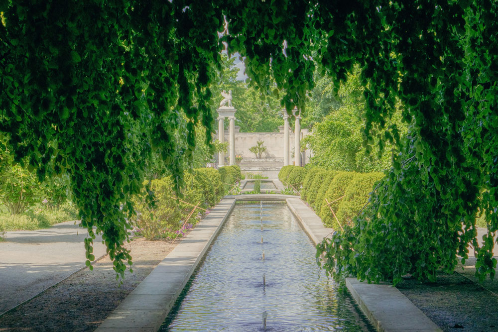 Paisajismo