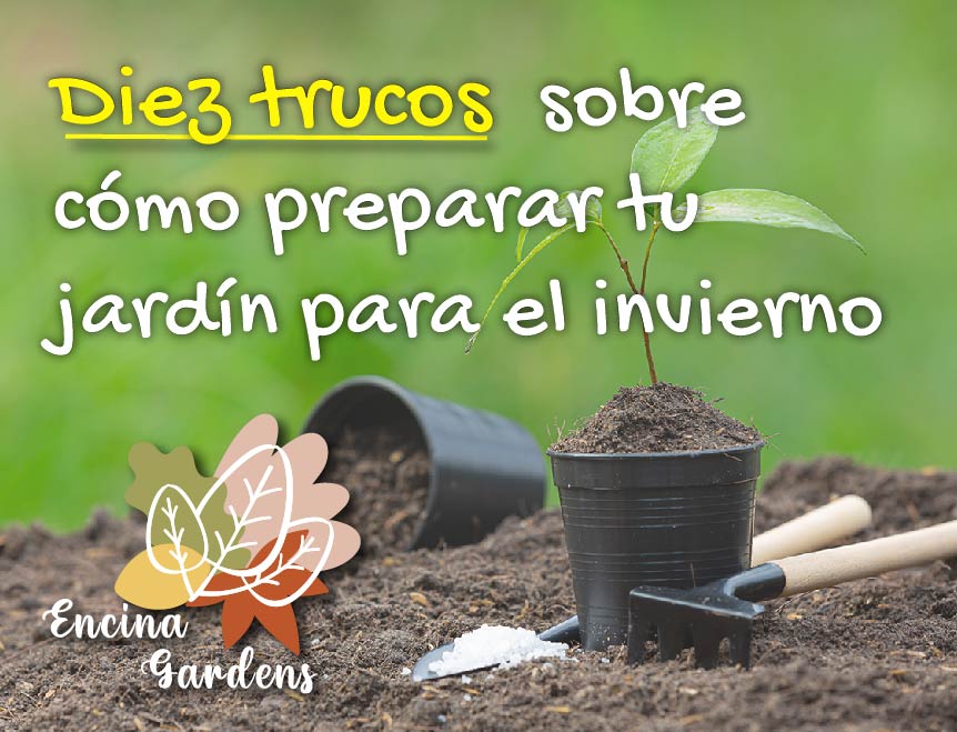 Diez trucos para preparar tu jardín para el invierno