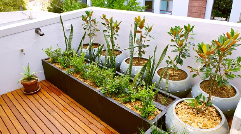Presentamos el método “Encina Terrace”: mantenimiento de jardines en terrazas y áticos