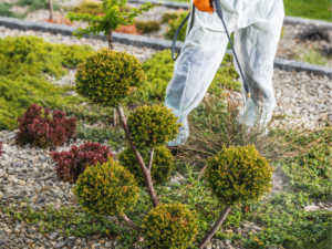 control de plagas en jardines