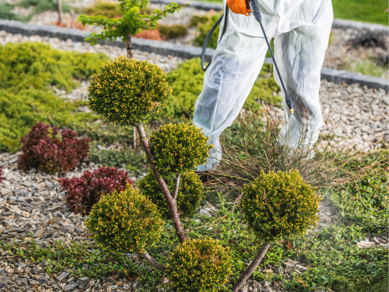Cómo eliminar y controlar plagas en jardines exteriores (guía completa y profesional)